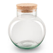 Terrarium fles ‘Noah’ met kurk - Gesloten terrarium Ø 18,5 cm ↑ 19 cm