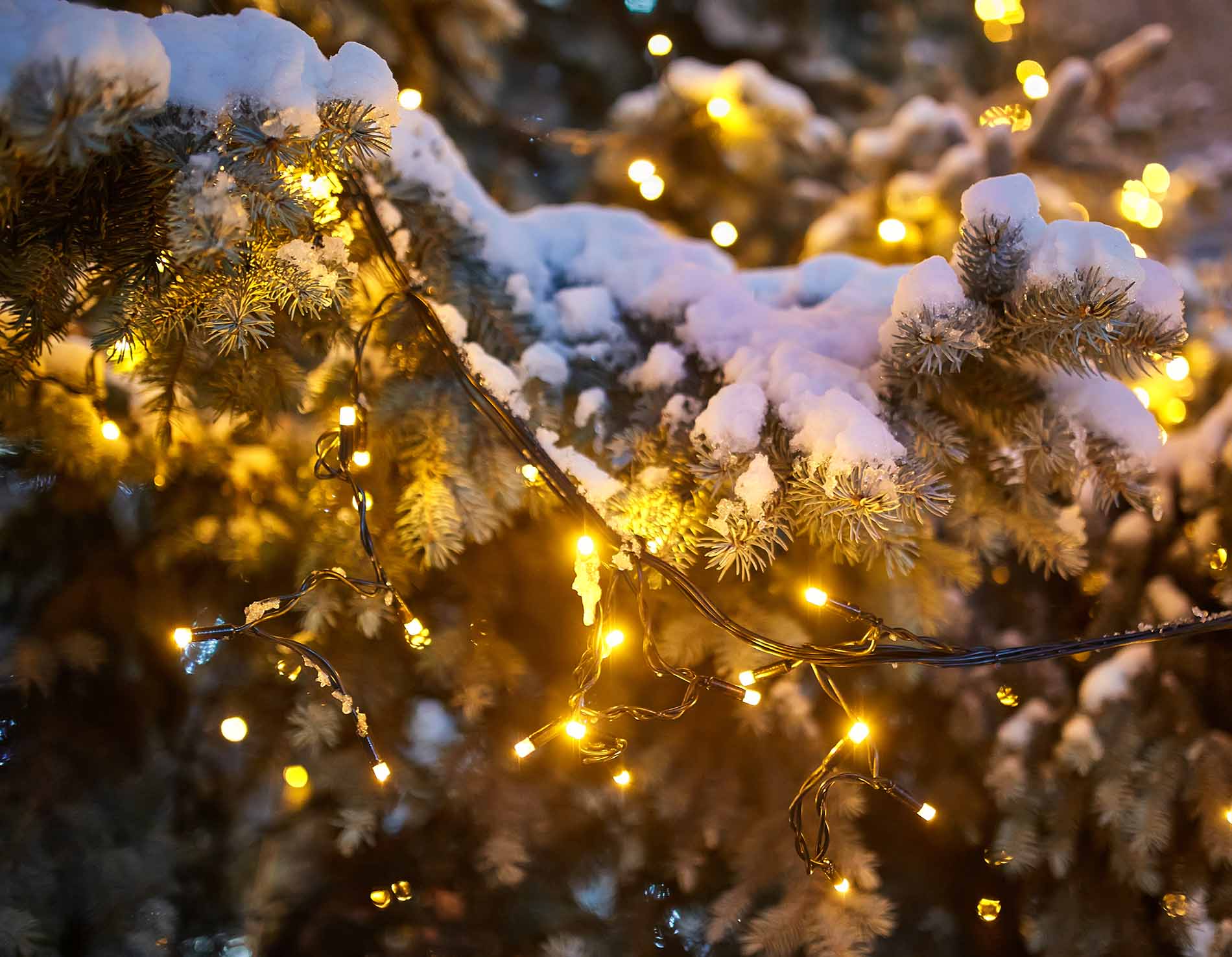 Kerstverlichting buiten figuren: Breng je tuin tot leven tijdens de feestdagen