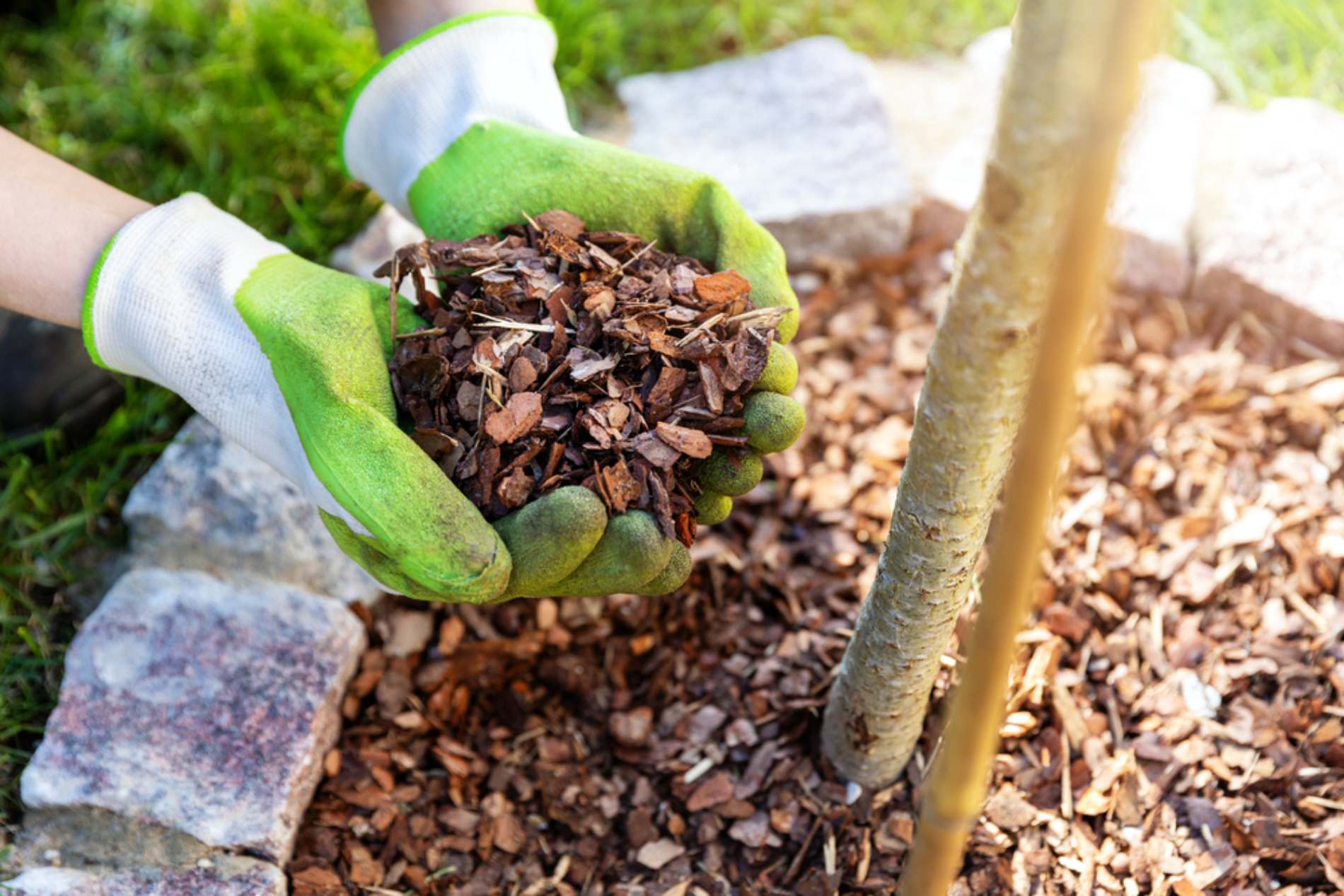 Zo bereid je jouw tuin voor op lagere temperaturen