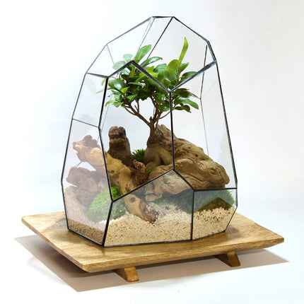 Collection image for: Geometrische terrariums | Vivariums