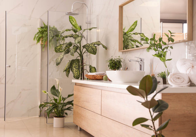 Planten voor in de badkamer