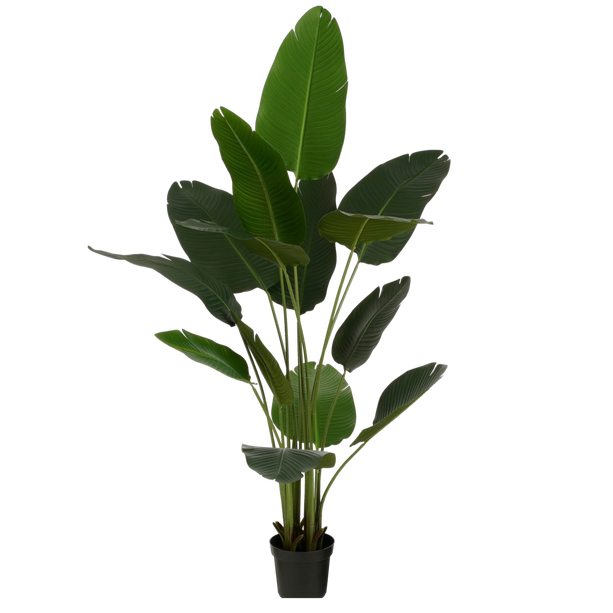 Kunstplant Bananenboom in Pot - H180 x Ø30 cm - Groen