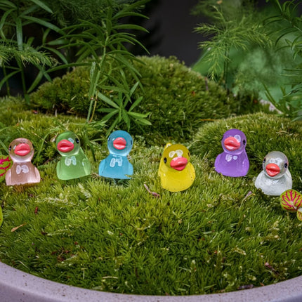 Glow in the dark - Ducks - Multi - ↑ 2 cm - 7 stuks
