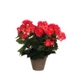 Begonia Kunstplant in Bloempot Stan - H30 x Ø25 cm - Donkerroze