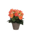 Begonia Kunstplant in Bloempot Stan - H30 x Ø25 cm - Zalmroze