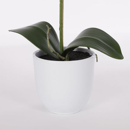 Phalaenopsis Kunstplant in Bloempot Tusca - H60 x Ø16 cm - Paars