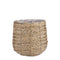 Plant accessoires