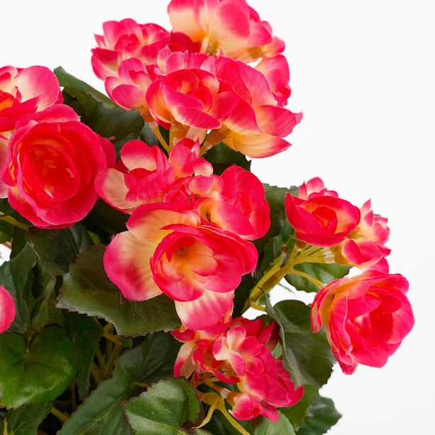 Begonia Kunstplant in Bloempot Stan - H30 x Ø25 cm - Donkerroze