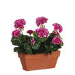 Geranium Kunstplant in Balkonbak - L29 x B13 x H40 cm - Paars
