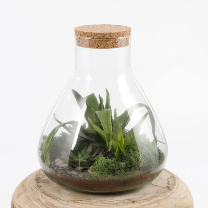 Emily Terrarium of Voorraadpot - H24,5 x Ø22,5 cm - Gerecycled Glas - Transparant