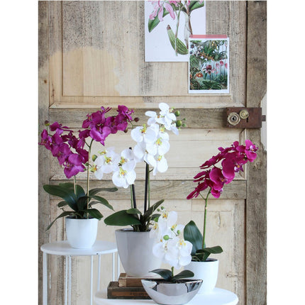 Phalaenopsis Kunstplant in Bloempot Tusca - H60 x Ø16 cm - Paars