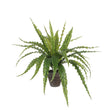 Asplenium Kunstplant in Bloempot Stan - H54 x Ø66 cm - Groen