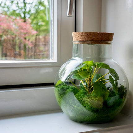 Kunstplanten terrarium met rendiermos- Silk Noah - ↑ 20 cm