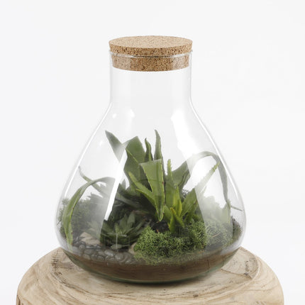 Emily Terrarium of Voorraadpot - H32 x Ø29,5 cm - Gerecycled Glas - Transparant