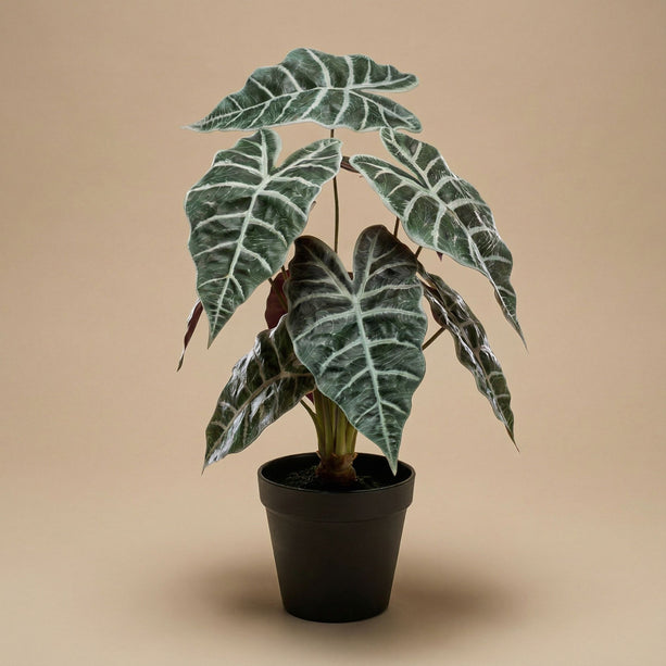 Alocasia bush in pot 40 cm - Kunstplant
