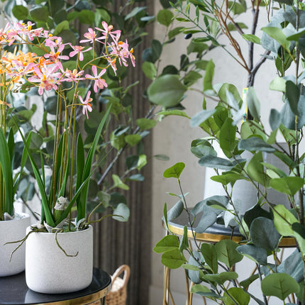 Ibiza set - 5 stuks - Bundel product - Kunstplanten