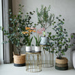 Ibiza set - 5 stuks - Bundel product - Kunstplanten