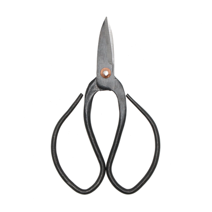 Bonsai shears S - 12 cm - Bonsai tool