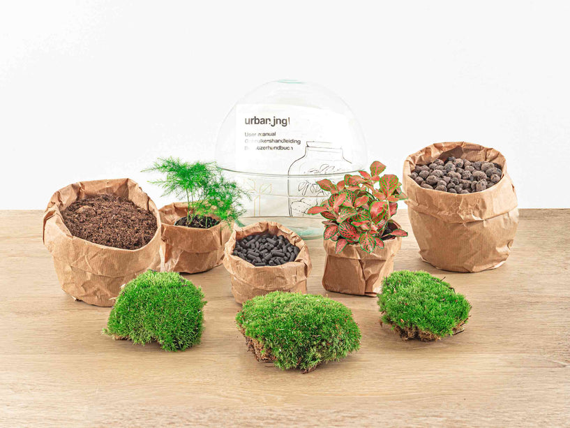 Planten terrarium - DIY - Dome Rood - Ecosysteem plant - ↑ 20 cm