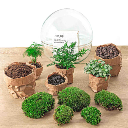 Planten terrarium - DIY - Dome XL - Ecosysteem plant - ↑ 30 cm