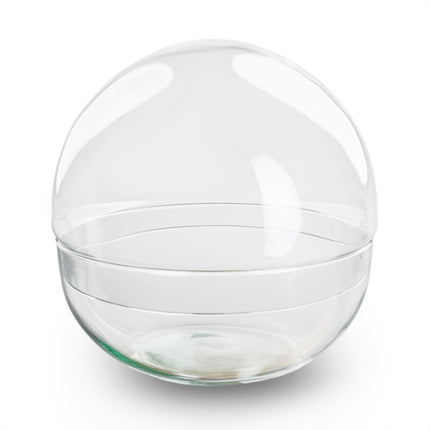 Terrarium fles 'Dome' - Tweedelig bolglas - Gesloten terrarium Ø 20 cm ↑ 20 cm