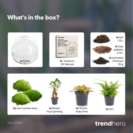 Dome XL Bonsai - DIY Planten terrarium - Tweedelig bolglas - Ecosysteem plant - Ø 28 cm ↑ 28 cm