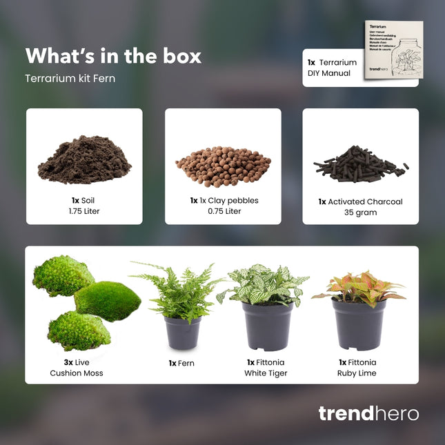 Varen - Terrarium Start- & navulpakket - 3 terrarium planten - DIY