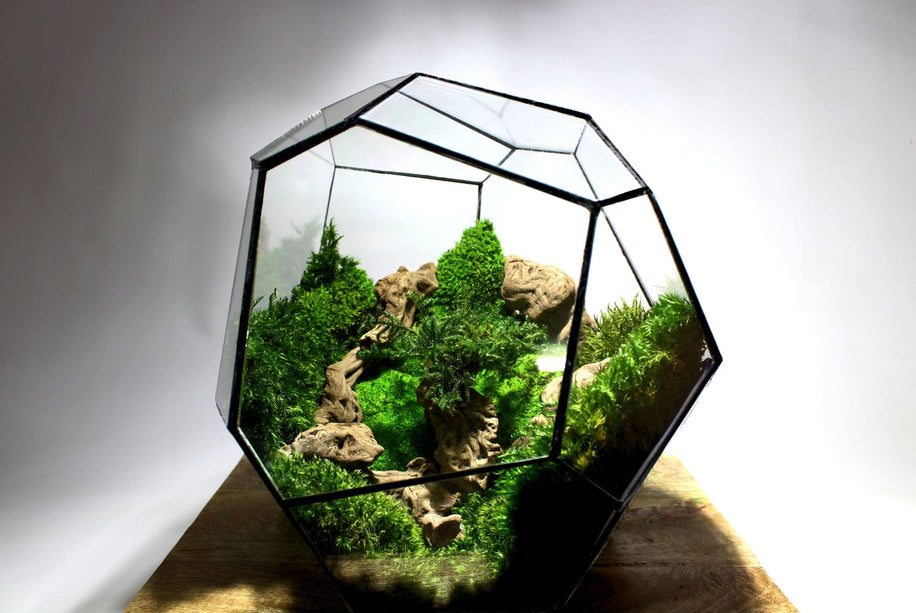 Geometrisch Terrarium - Cosmo - Waterdicht - Glas - ↑ 31 x ↔ 29 cm