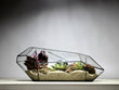 Geometrisch Terrarium - Nano Planter - Waterdicht - Glas - ↑ 47 x ↔ 21 cm