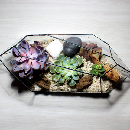 Geometrisch Terrarium - Nano Planter - Waterdicht - Glas - ↑ 47 x ↔ 21 cm