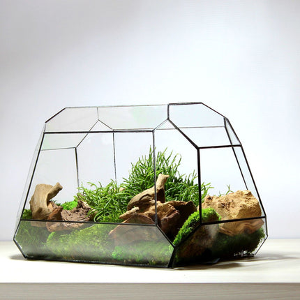 Geometrisch Terrarium - Nexus - Waterdicht - Glas - ↑ 41,5 x ↔ 21 cm