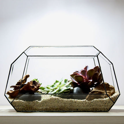 Geometrisch Terrarium - Nexus - Waterdicht - Glas - ↑ 41,5 x ↔ 21 cm
