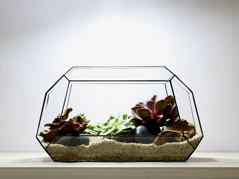 Geometrisch Terrarium - Nexus - Waterdicht - Glas - ↑ 41,5 x ↔ 21 cm