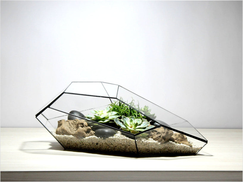 Geometrisch Terrarium - Plantasia - Waterdicht - Glas - ↑ 50 x ↔ 25 cm