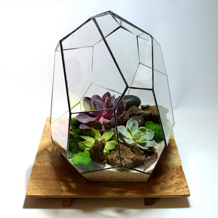 Geometrisch Terrarium - Stellar - Waterdicht - Glas - ↑ 27 x ↔ 27 cm