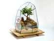 Geometrisch Terrarium - Stellar - Waterdicht - Glas - ↑ 27 x ↔ 27 cm