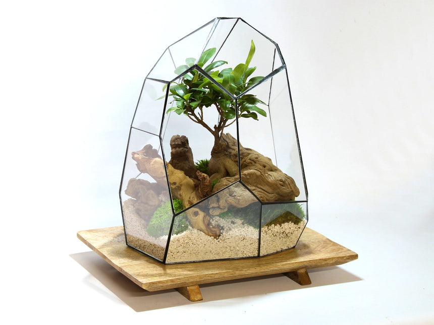 Geometrisch Terrarium - Stellar - Waterdicht - Glas - ↑ 27 x ↔ 27 cm