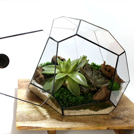 Geometrisch Terrarium - Torno - Waterdicht - Glas - ↑ 28 x ↔ 26 cm