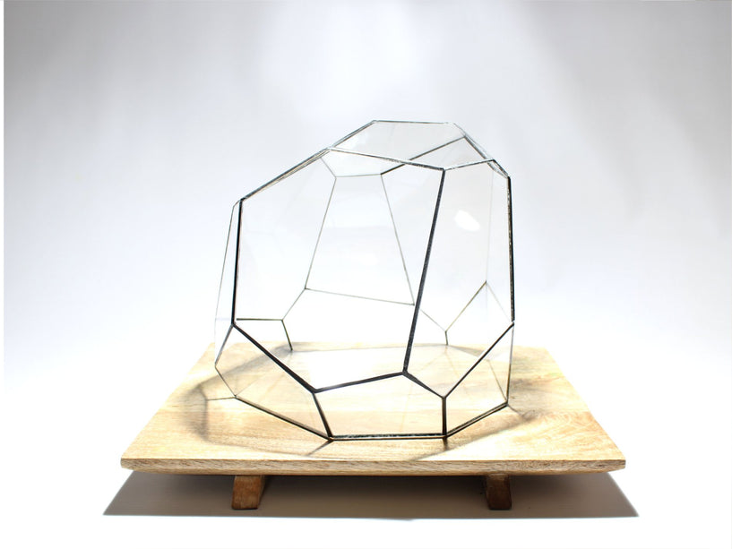 Geometrisch Terrarium - Torno - Waterdicht - Glas - ↑ 28 x ↔ 26 cm