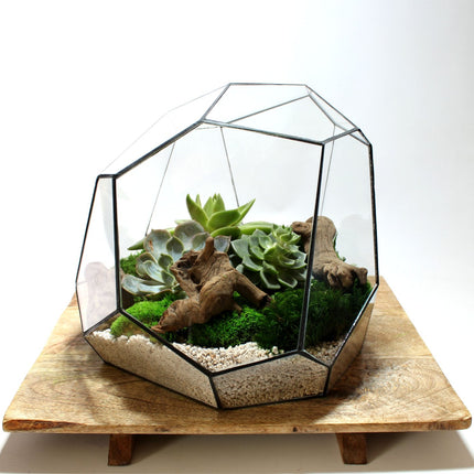 Geometrisch Terrarium - Torno - Waterdicht - Glas - ↑ 28 x ↔ 26 cm