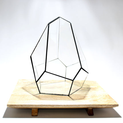 Geometrisch Terrarium - Jungle Gem - Waterdicht - Glas - ↑ 16 x ↔ 15 cm