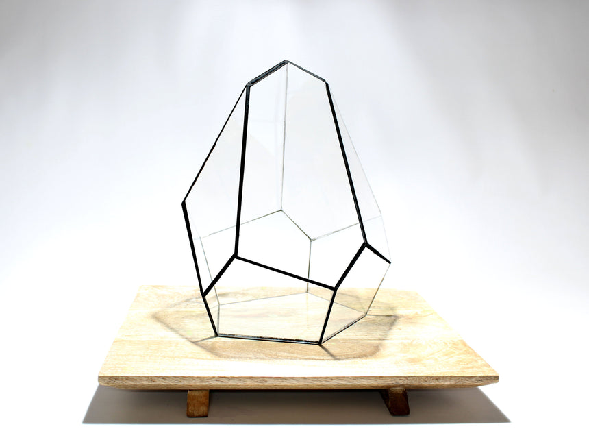 Geometrisch Terrarium - Jungle Gem - Waterdicht - Glas - ↑ 16 x ↔ 15 cm