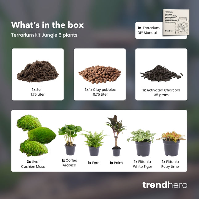 Jungle 5 - Terrarium Start- & navulpakket - 3 terrarium planten - DIY