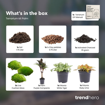 Palm - Terrarium Start- & navulpakket - 3 terrarium planten - DIY