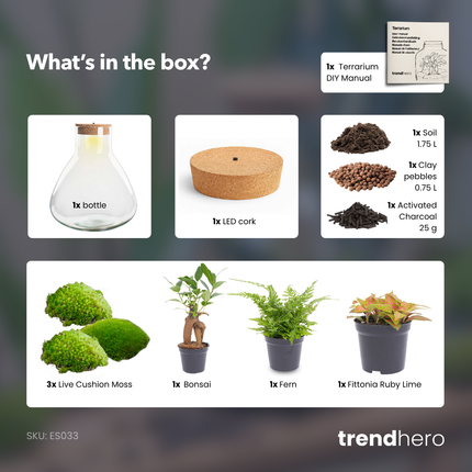Sam XL Bonsai - DIY Planten terrarium - Ecosysteem plant - Ø 30 cm ↑ 32 cm