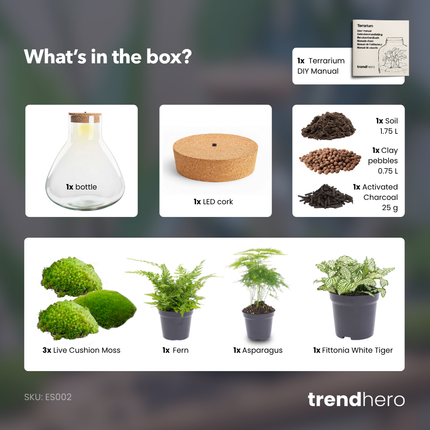 Sam XL Green - DIY Planten terrarium - Ecosysteem plant - Ø 30 cm ↑ 32 cm