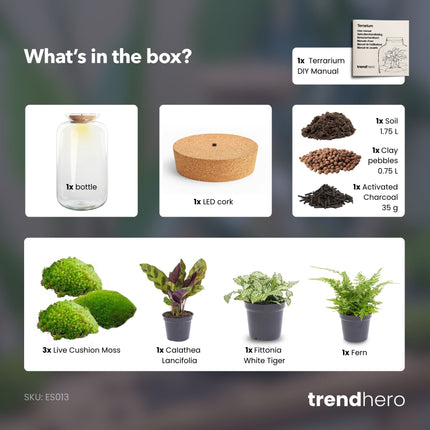 Sven XL Botanisch - DIY Planten terrarium - Ecosysteem plant - Ø 23 cm ↑ 43 cm
