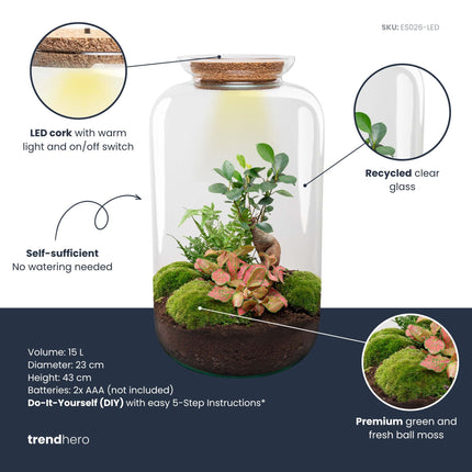 Sven XL Palm - DIY Planten terrarium - Ecosysteem plant - Ø 23 cm ↑ 43 cm