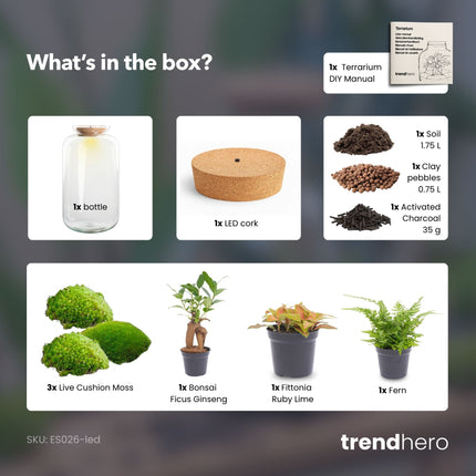 Sven XL Palm - DIY Planten terrarium - Ecosysteem plant - Ø 23 cm ↑ 43 cm
