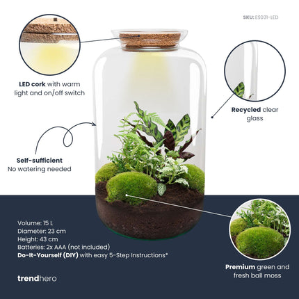 Sven XL Botanisch - DIY Planten terrarium - Ecosysteem plant - Ø 23 cm ↑ 43 cm
